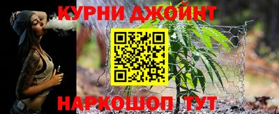 сатива Будённовск